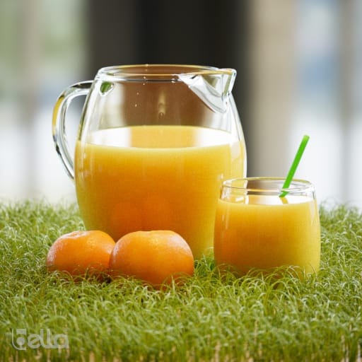 Foliage and Vegetation